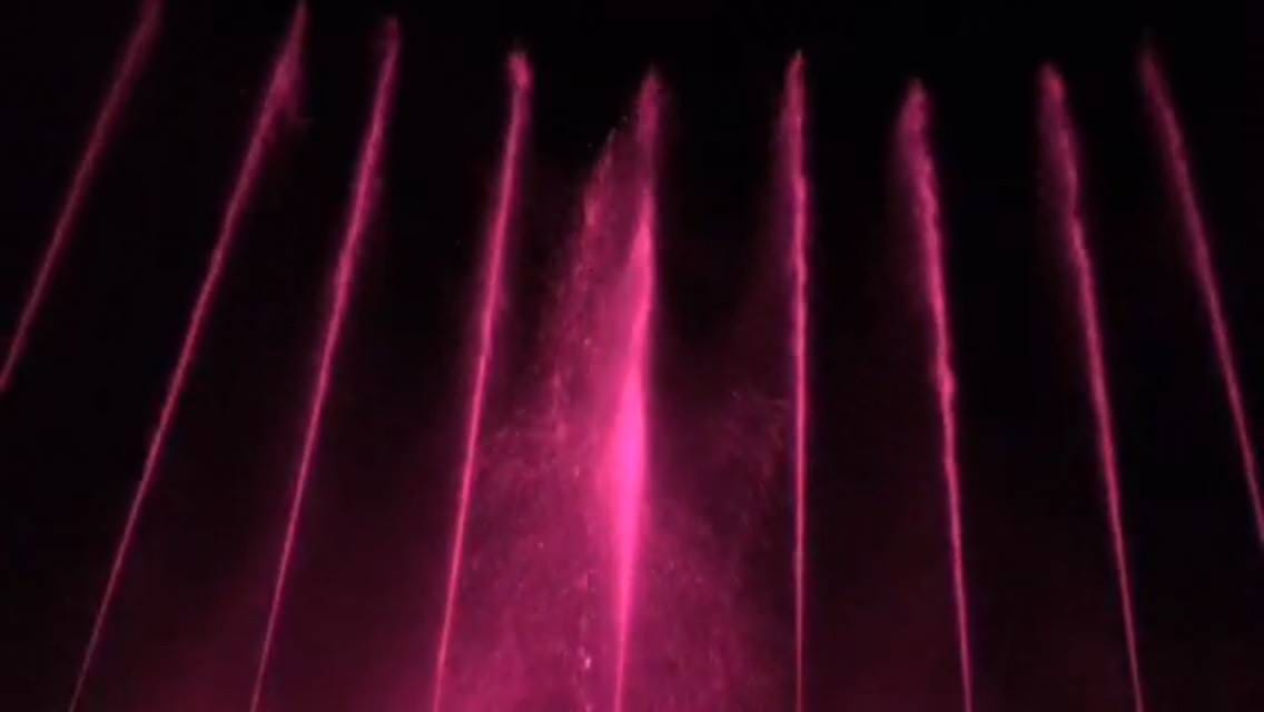 11713881_1030693296964289_3270459277376898390_o
